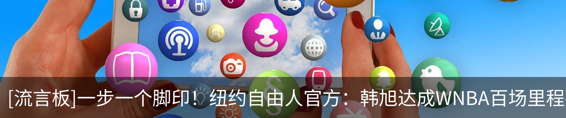新闻动态